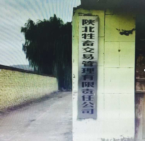 1445258572741007.png 5.png