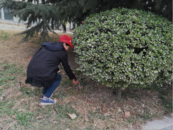 1457691036564189.png QQ截图20160311180955.png
